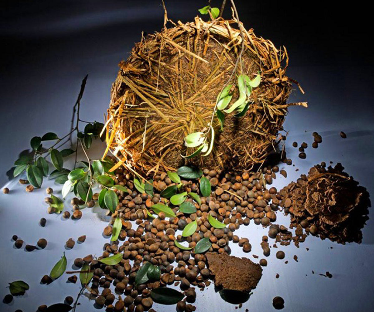 Tea Bran