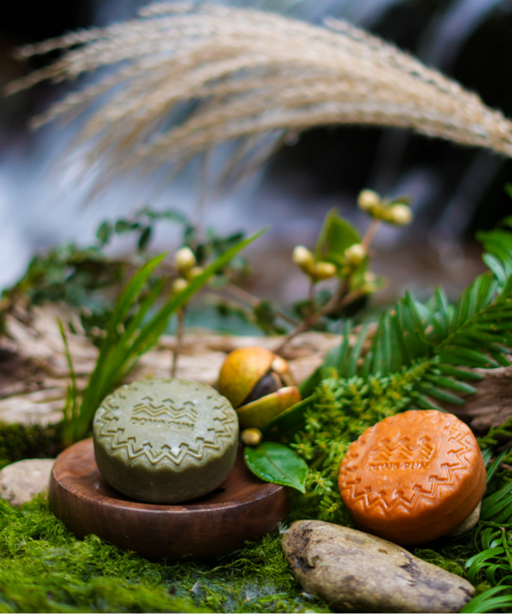 DONG SUN Shampoo Bar Set – Tea Sediment & Cypress Leaf | Complete Scalp Care
